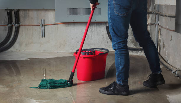 Best Water damage restoration company  in Lliams Bay, WI