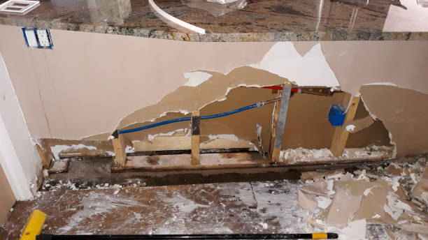 Best Mold removal after water damage  in Lliams Bay, WI