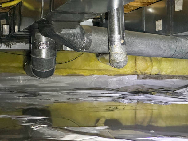 Best Water damage contractors near me  in Lliams Bay, WI